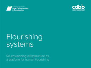 Flourishing systems front page