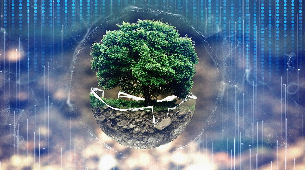 Picture of tree