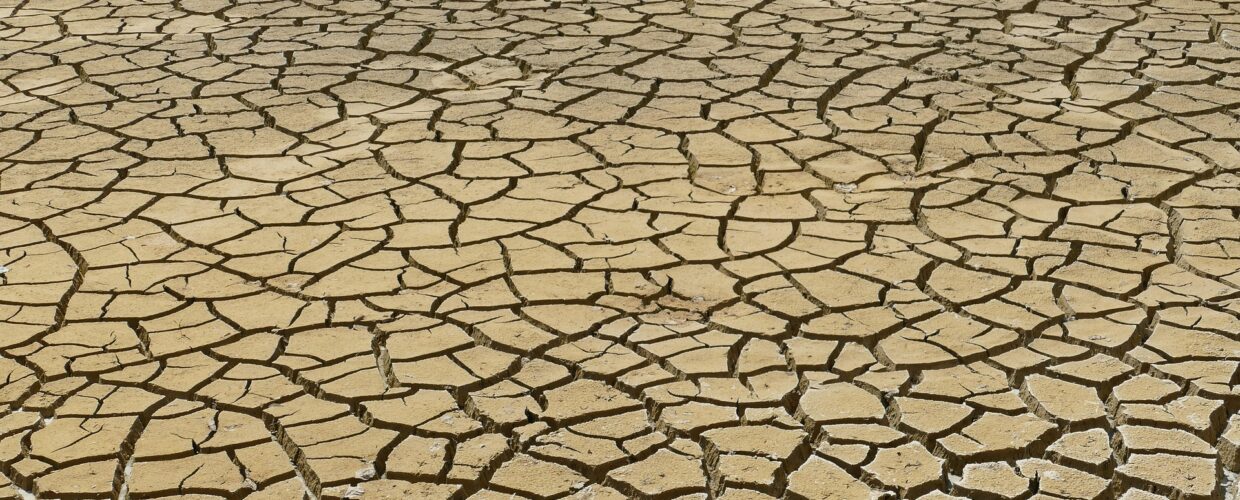 Dried land image for CASA UCL