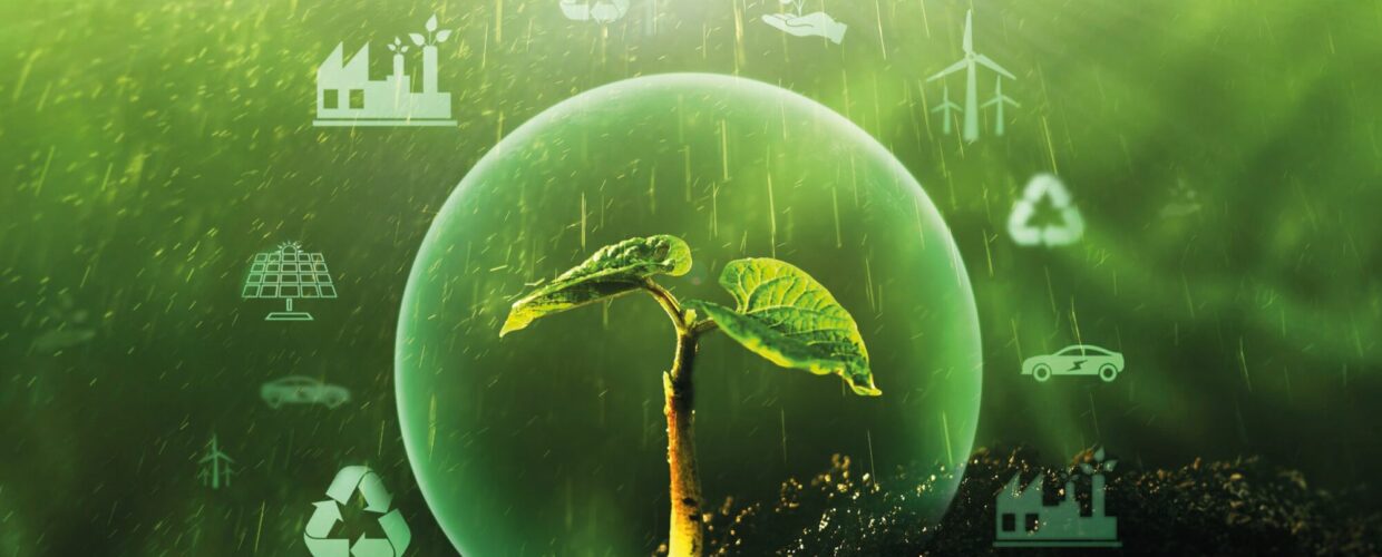 A small plant growing encircled by a sphere.