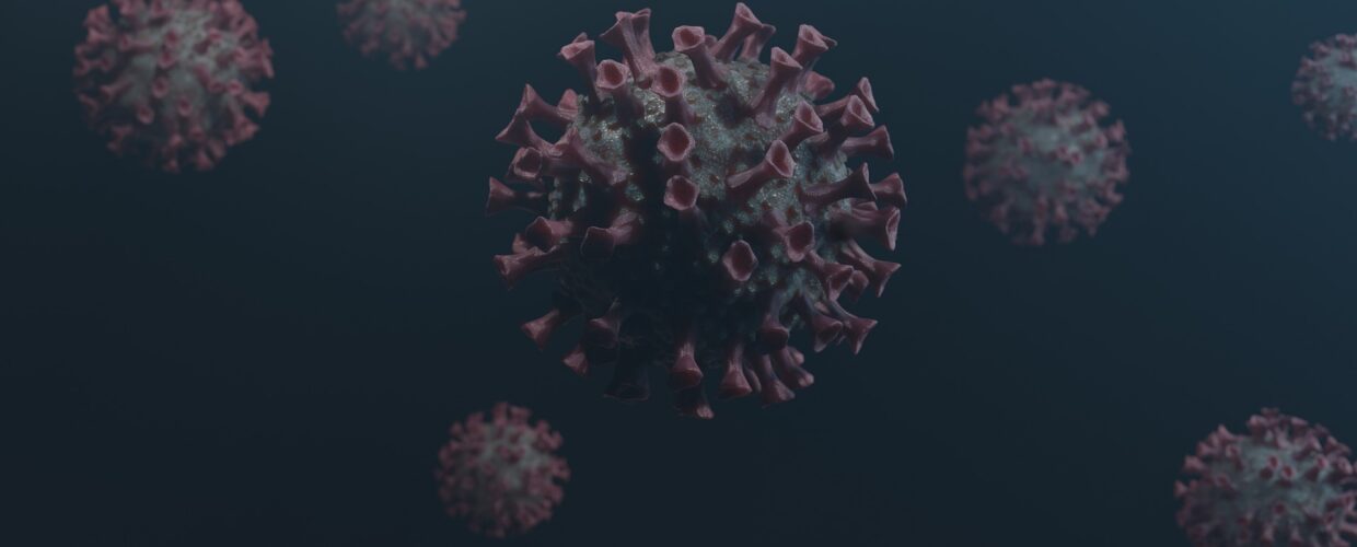 Virus image for CASA UCL