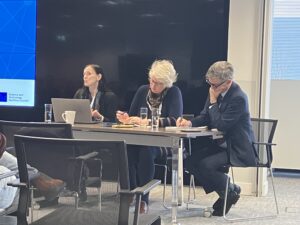 Panel at DINI showcase