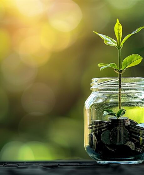 Seedling image from Pixabay for CGFI